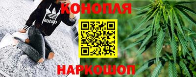 гашик Донской