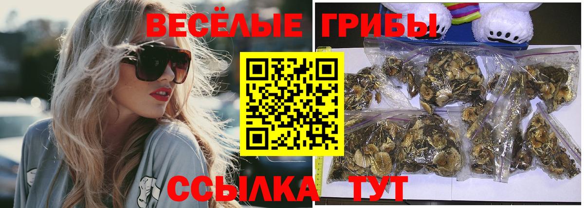 Псилоцибиновые грибы мухоморы  Вход с VPN  Знаменск 